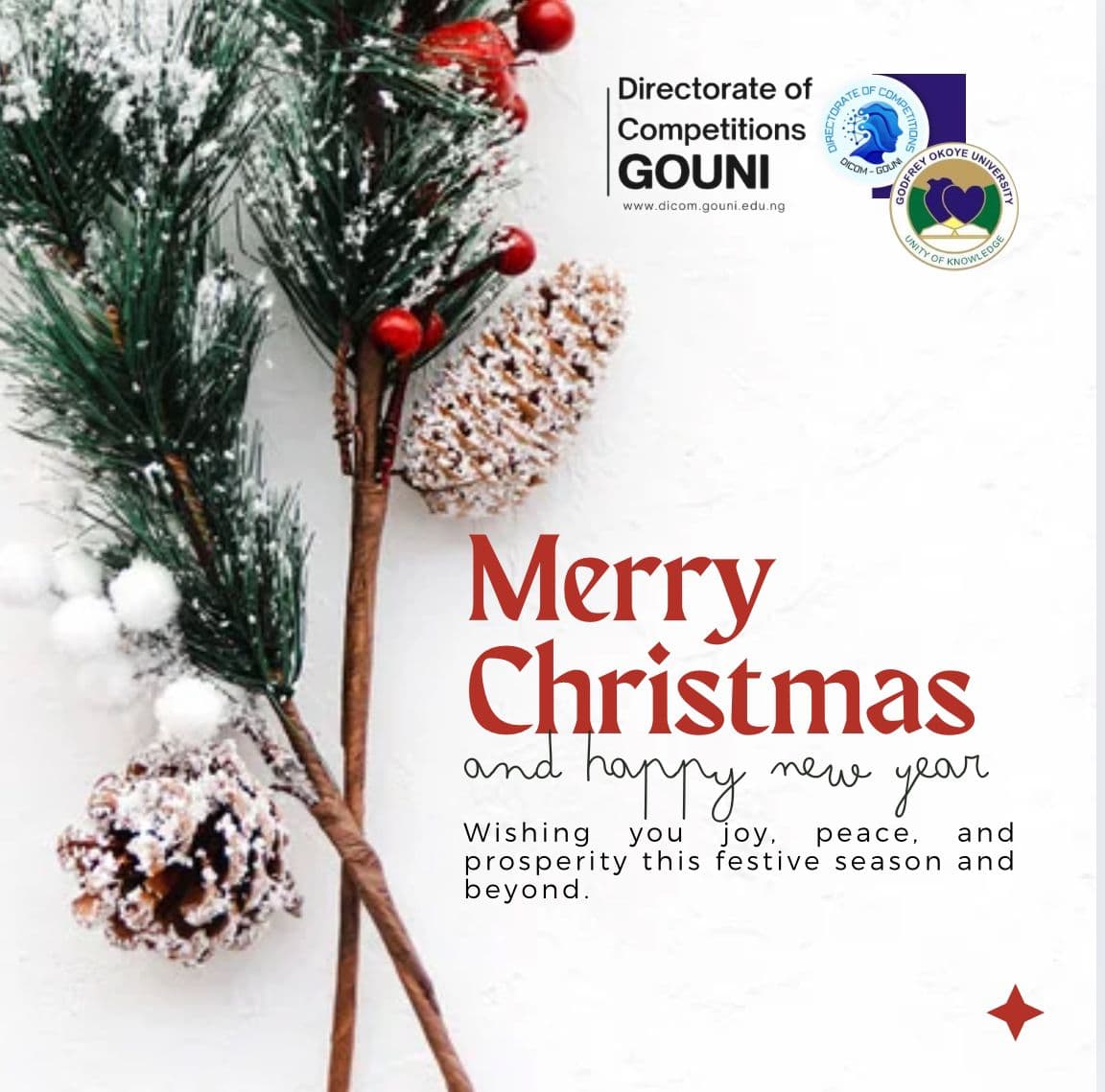 Merry Christmas 